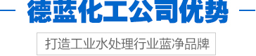 德藍(lán)化工公司優(yōu)勢(shì)